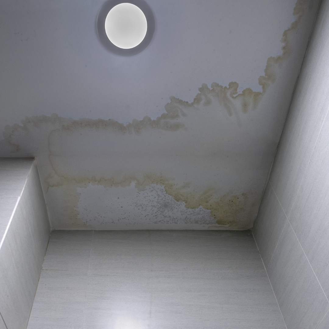 Hidden Plumbing Leaks: 7 Warning Signs Utah Homeowners Should Never Ignore