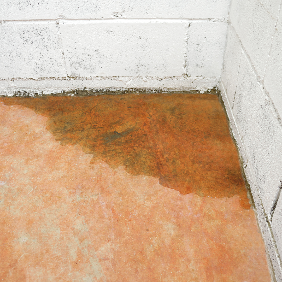 Slab Leak Signs: How to Tell If There’s a Leak Under Your Home